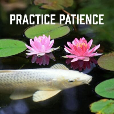 Practice Patience