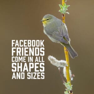 Facebook Friends Come In All Shapes and Sizes