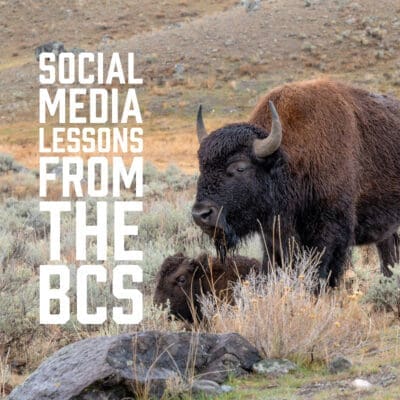 Social Media Lessons from the BCS