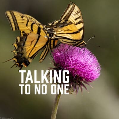 Talking to No One