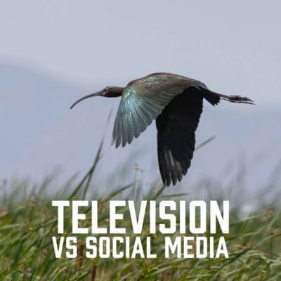 Television vs Social Media
