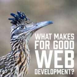 What Makes for Good Web Development?