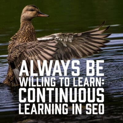 Always Be Willing To Learn: Continuous Learning in SEO