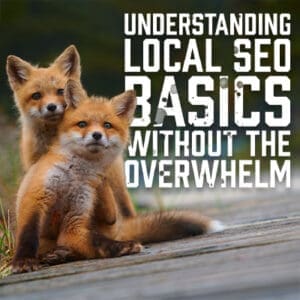 SEOBasics