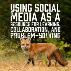 UsingSocials