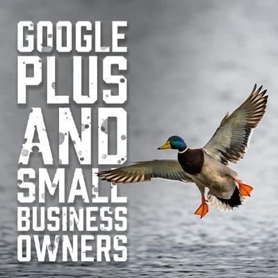 Google Plus and SEO lessons for small businesses