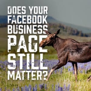 FacebookMoose