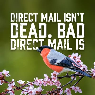 BadDirecrt