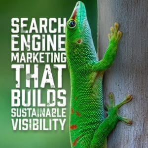 SearchEngine