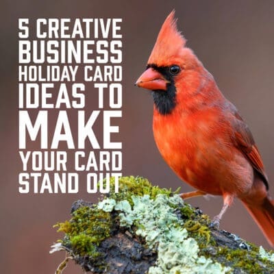5 Creative Business Holiday Card Ideas to Make Your Card Stand Out