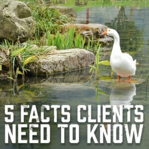 CLientFacts