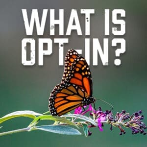 OptIn