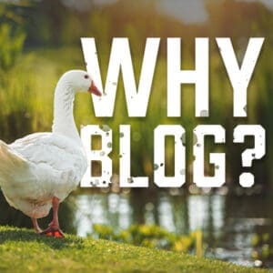 Why Blog
