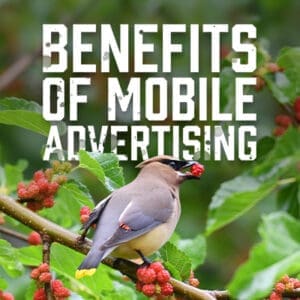 MobileAdvertising