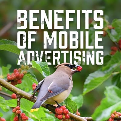 Mobile advertising helps businesses connect with customers through smartphones and mobile digital experiences.