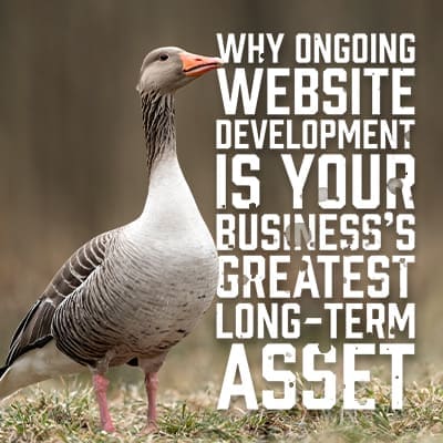 Ongoing website development and consistent digital marketing create long-term business value.