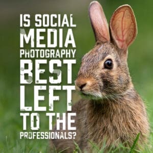 SocialMediaLeft