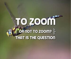 zoom