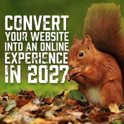 Creating a more engaging online experience for business website visitors