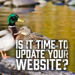 Update Your Website