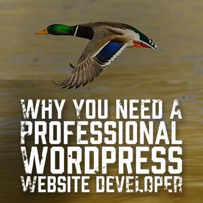 Why You Need a Professional WordPress Website Developer