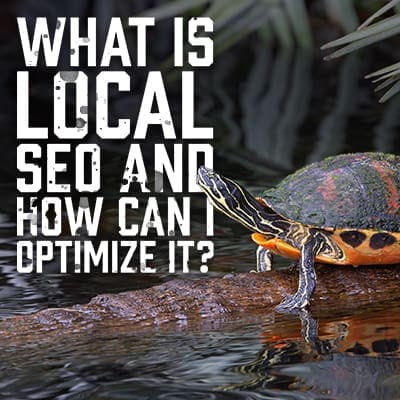 Local SEO
