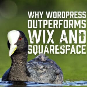 wordpress