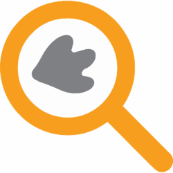 ParaduxMedia SEO & Optimization