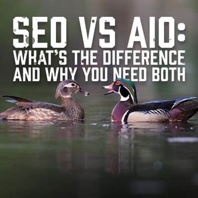 SEOAIO