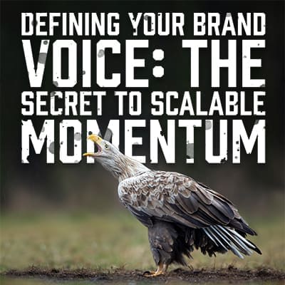 ScreamingVoice