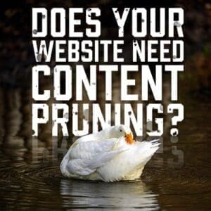 Content Pruning
