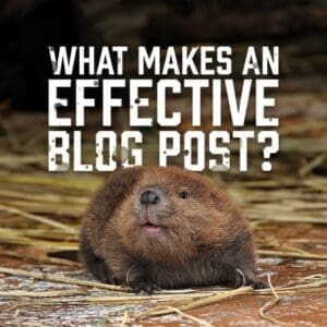 EffectiveBlogPost