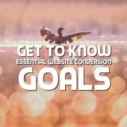 Get to know essential website conversion goals