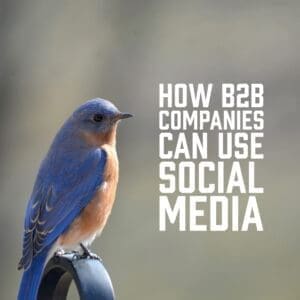 How B2B Companies Can Use Social Media