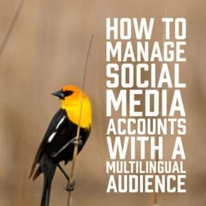 How to Manage Social Media Accounts with a Multilingual Audience