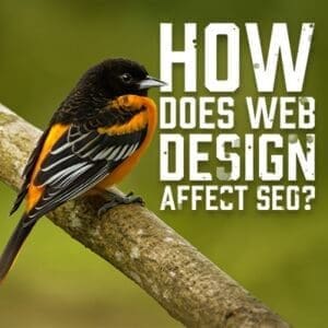 HowDoesWebDesign
