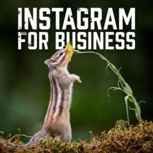 InstaforBusiness