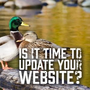 Update Your Website