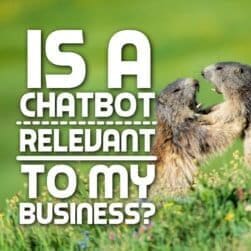 Is a Chatbot Relevant to my Business