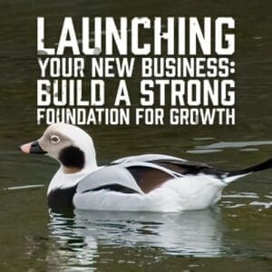 Launching