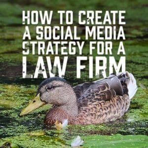 LawFirm