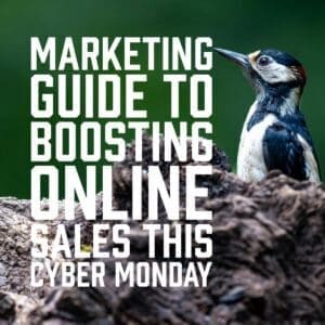 Marketing Guide to Boosting Online Sales This Cyber Monday