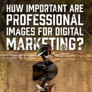 ProfImages
