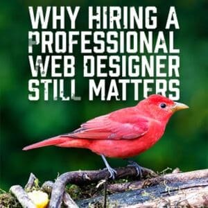 ProfWebDesigner