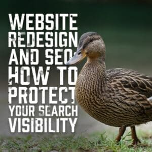 ProtectSearch