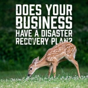 Recovery
