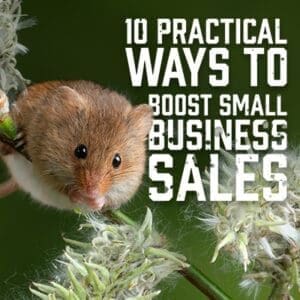 SmallBusinees