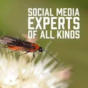 Social Media Experts of All Kinds