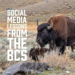 Social Media Lessons from the BCS