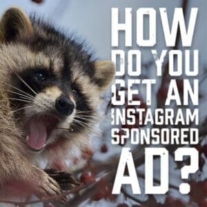 Sponsored ad